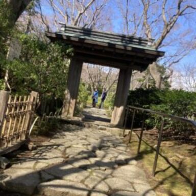 はな のプロフィール写真